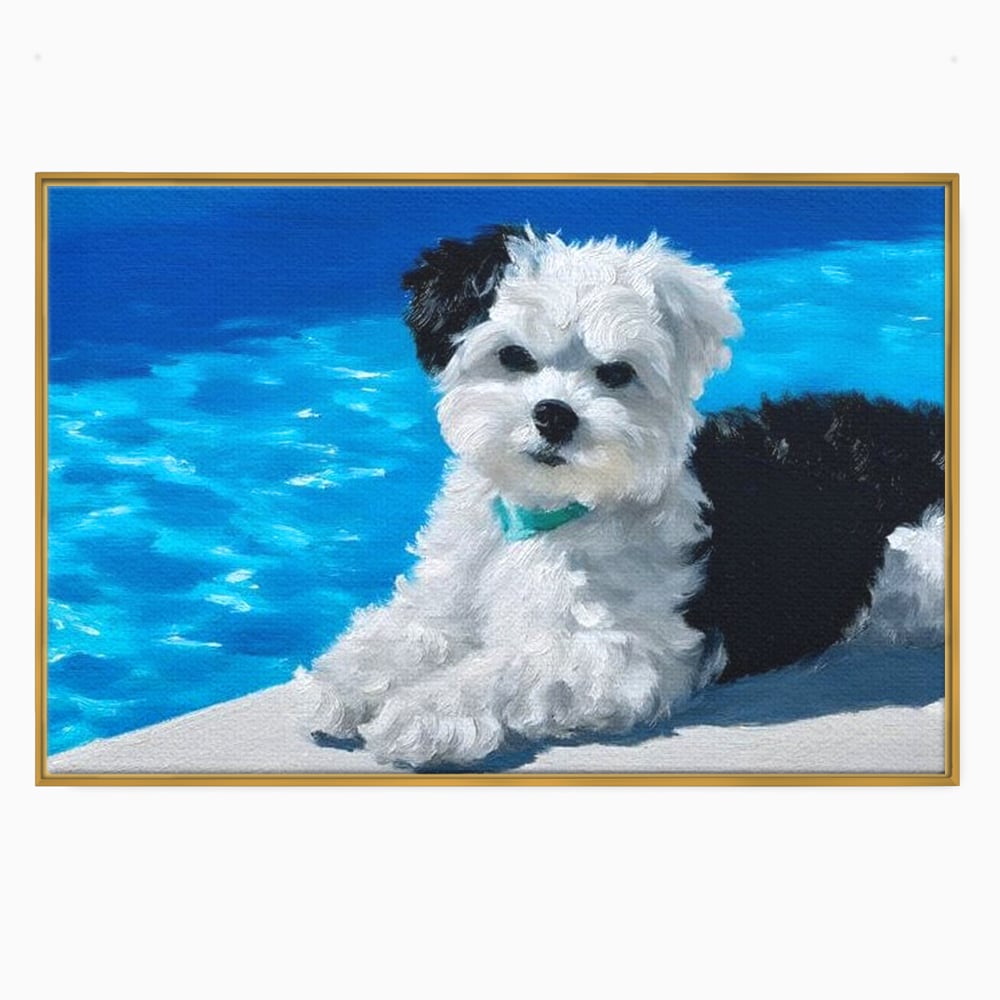 Tablou canvas cu pictura cu catel pufos langa piscina, in rama de aluminiu auriu